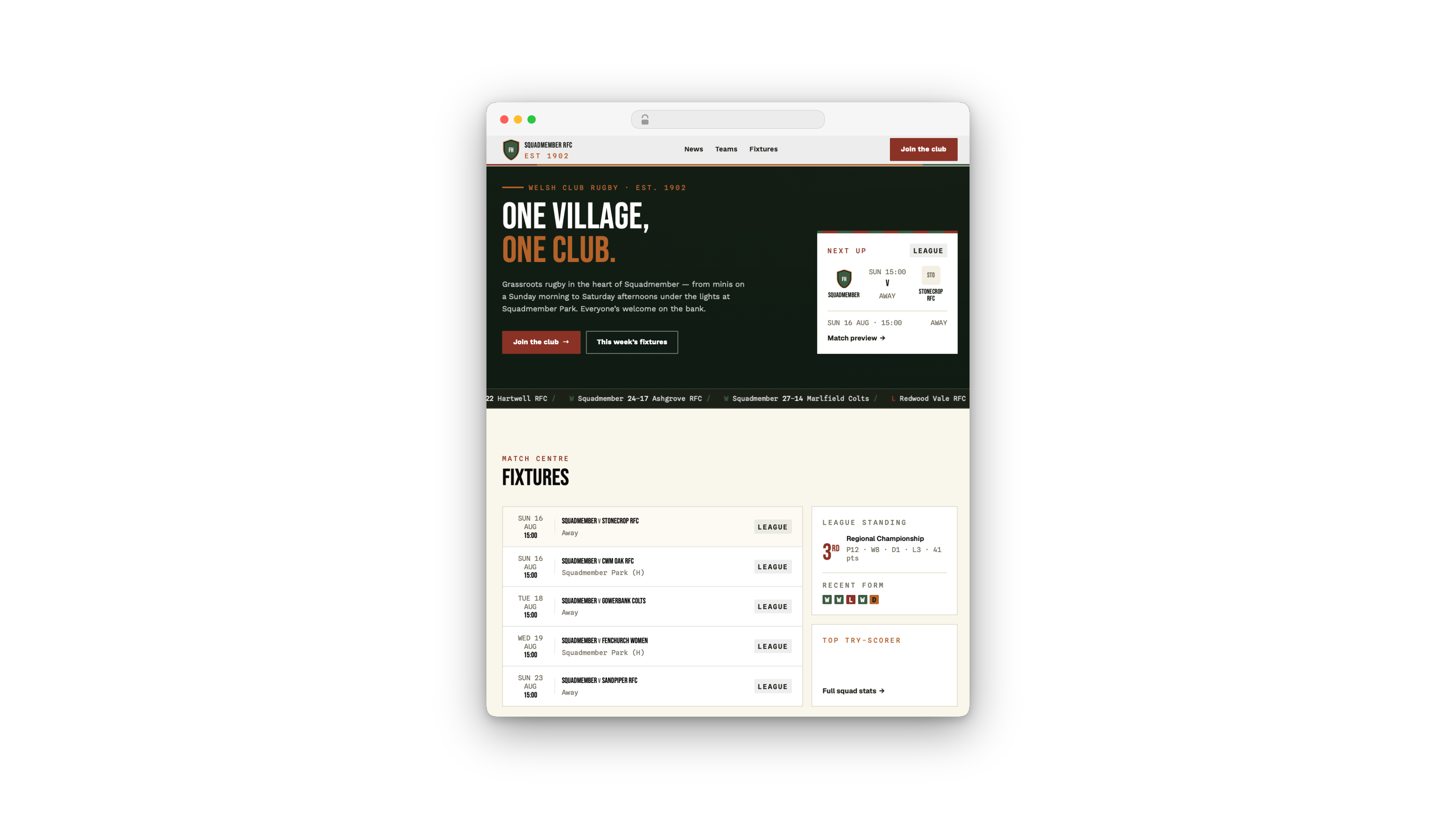 CMS website preview